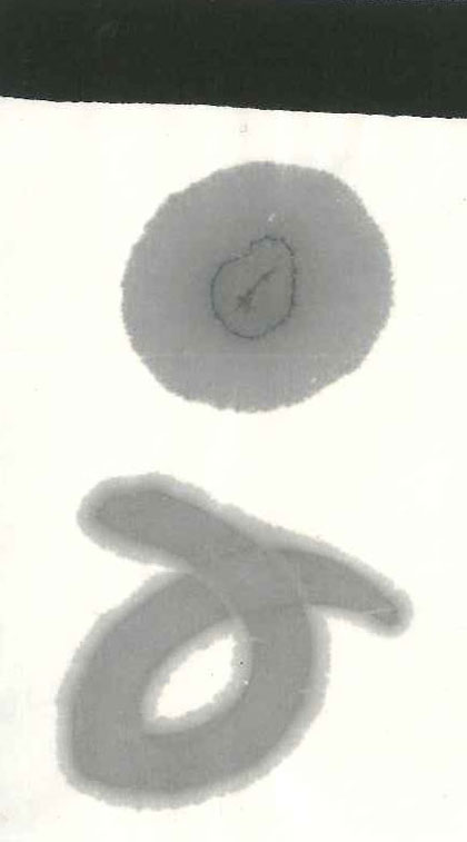 長期欠品納期未定】【お買い得商品】花仙 400cc 開明 - 書道用品