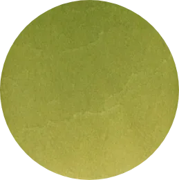 Rikyu Brown