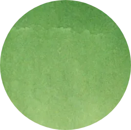 Celadon
