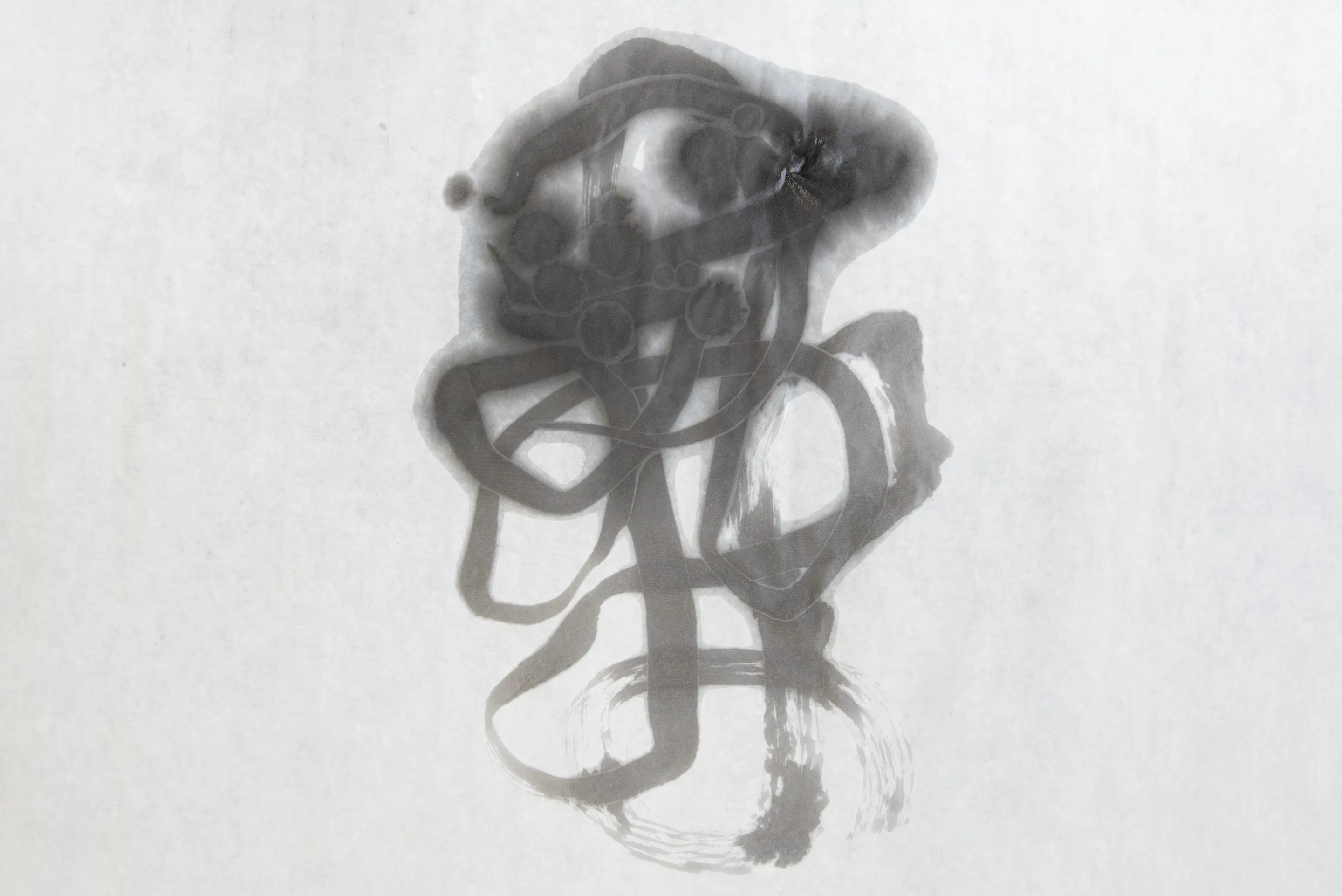 ø�Ϥθ�ɽ��